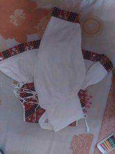 Traditional Indian Girl's Outfit