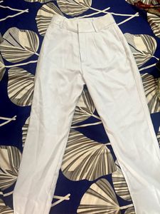 Light Blue Formal Trousers