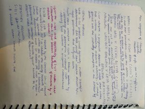evidence law notes (BSA)