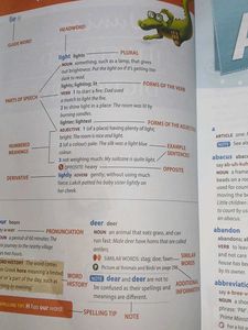 Junior Illustrated Dictionary