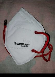 GreatWhite N95 Mask