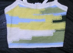 Crochet Crop Top