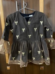 Indo Western Top