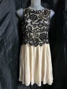 Elegant Lace & Chiffon Dress