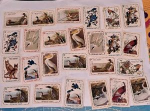 25 Vintage HAITI Bird Stamp Collection