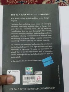 The Mountain is You Book