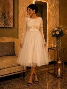 Elegant Lace Detail Tulle Gown