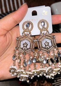 Exquisite Dangle Earrings