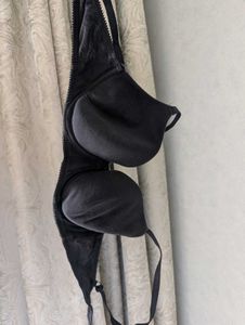 Zivame Black Cotton Padded T-Shirt Bra