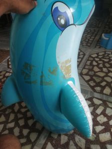 Inflatable Dolphin Toy