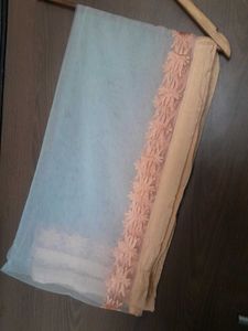 Embroidered Net Dupatta