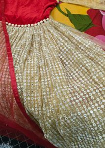 Stunning Gold & Red Ethnic Gown