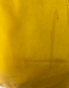 Elegant Bright Yellow Saree with lotus motifs