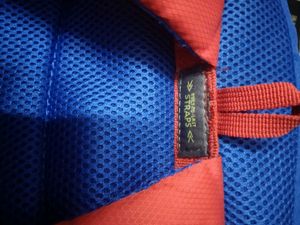 Original Skybags Cricket Themed Blue Backpack