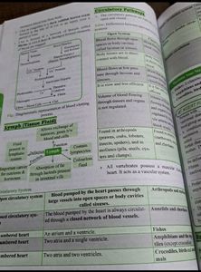 Neet Most Wanted Biology