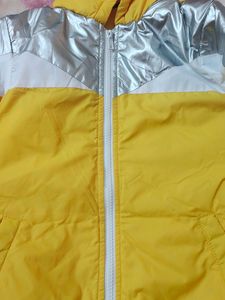 Yellow Jacket