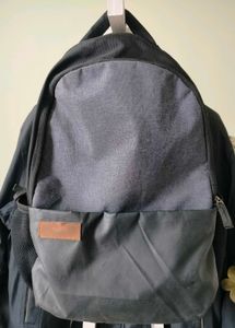 Skybags Backpack - Gray