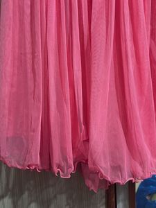 Pink Net Skirt with Gold Detail