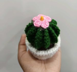 Handmade Crochet Cactus Decor