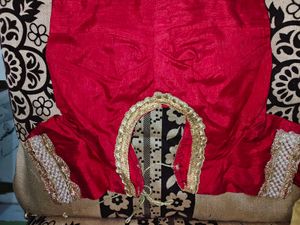beautiful saree Elegant Ethnic Sare