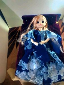 Collectible korean fashion doll.