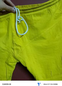 Yellow Legi