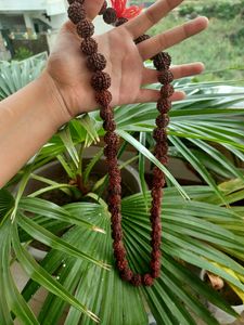 Rudraksha Mala