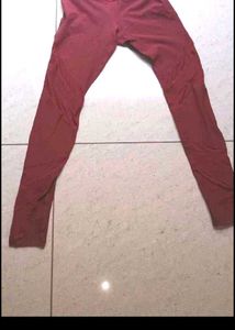 Stylish Maroon Leggings for Women