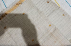 Assam Pure Cotton With Golden Muga Thread Work