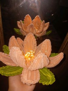 Handmade Lotus lamp 🪷 ✨️