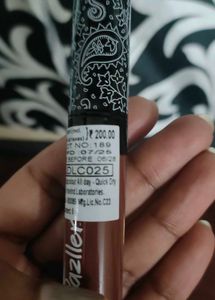 PRICE DROP Nude Brown matte Quick dry Lipstick