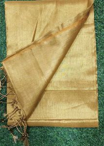 Tissue Saree Celebrate For Holi Special