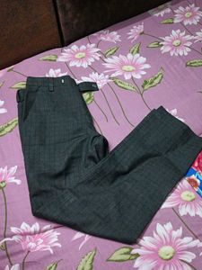Taylored Grey charcoal Formal Pants