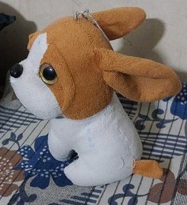 It's Toy Dog