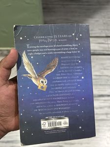 Harry Potter and the Philosopher's Stone Book