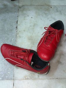 Puma Red Driving Shoes(Price drop)