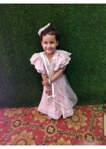 Elegant mouve lahenga choli