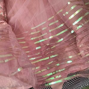 Sparkling Pink Lehenga Choli nd dupatta