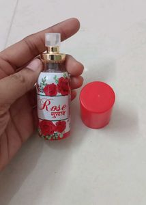 Designer Hair Clips + FREE Rosewater Bottle