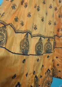 Orange Embellished Lehenga Choli
