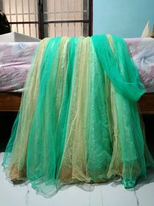 Beautiful Ethnic Gown