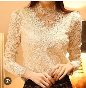 Elegant Lace Top
