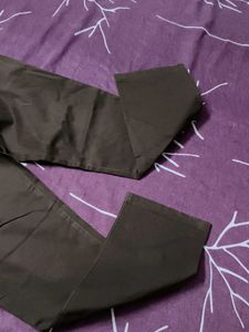 Walvis Men's Cotton Brown Pant