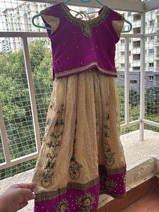 Designer Embroidered Lehenga and blouse
