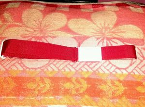 Belt New
