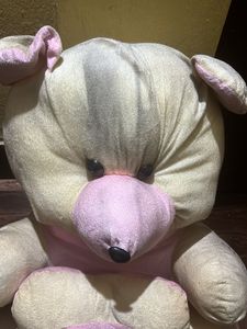 Teddy