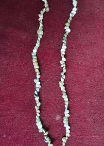 Seashell Necklace- Unused