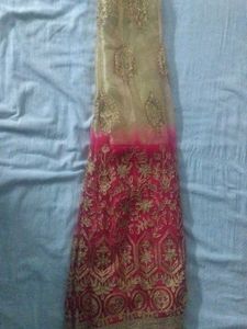 Elegant Red Dupatta with Gold Border(no blouse