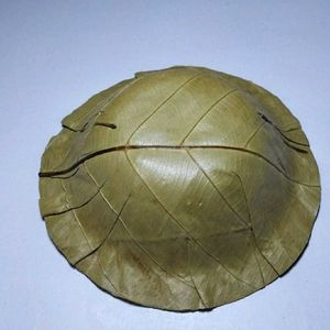 Siali Leaf Eco Friendly Disposable Bowls 50