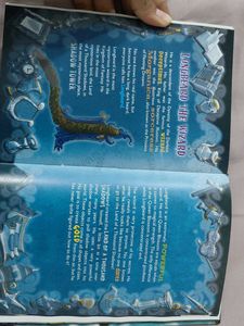 Geronimo Stilton The Wizard's Wand